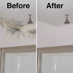 HG Mould Remover Foam Spray, Mould Spray & Mildew Cleaner, Removes Mould Stains From Walls, Tiles, Bathroom Seals & More - 500ml (632050106)