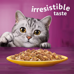 Whiskas 1 plus Adult Poultry Selection in Jelly 40 Pouches, Adult Wet Cat Food, Megapack (40 x 85 g)