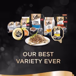 Sheba Fine Flakes Poultry Collection in Jelly 40 Pouches, Adult Wet Cat Food, Megapack (40 x 85 g)