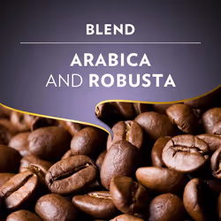 Lavazza Espresso Intenso Barista, Arabica and Robusta Drum Roast Coffee Beans, 1 kg (Pack of 1)