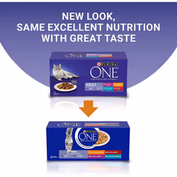Purina ONE Adult Cat Food Mini Fillets in Gravy, 40 x 85g