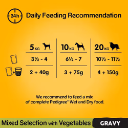 Pedigree Mixed Selection in Gravy 40 Pouches, Adult Wet Dog Food, Megapack (40 x 100 g)