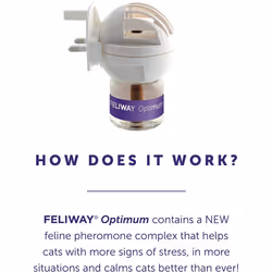 FELIWAY Optimum diffuser & 30 day refill, the best solution to ease cat anxiety, cat conflict and stress in the home, 48 ml (Pack of 1)