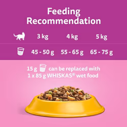 Whiskas 1+ Chicken 7kg Bag, Adult Cat Dry Food - Pack May Vary