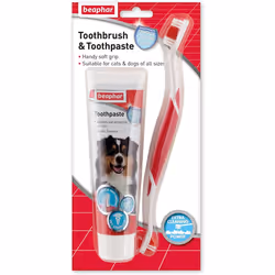 Beaphar | Toothbrush & Toothpaste Dental Care Kit | For Dogs & Cats Double-Ended Toothbrush & Liver-Flavoured Enzymatic Tooth ...