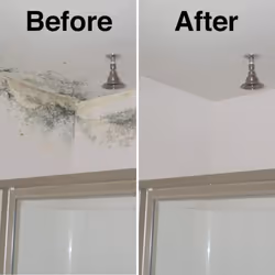 HG Mould Remover Foam Spray, Mould Spray & Mildew Cleaner, Removes Mould Stains From Walls, Tiles, Bathroom Seals & More - 500ml (632050106)
