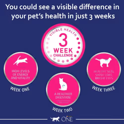 Purina ONE Adult Dry Cat Food Rich in Chicken 6kg,package may vary