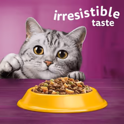 Whiskas 1+ Chicken 7kg Bag, Adult Cat Dry Food - Pack May Vary