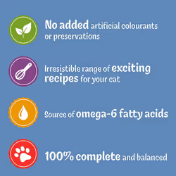 Felix Original Mixed Selection In Jelly Cat Food, 100 g (Pack of 40)