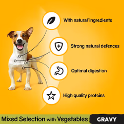 Pedigree Mixed Selection in Gravy 40 Pouches, Adult Wet Dog Food, Megapack (40 x 100 g)