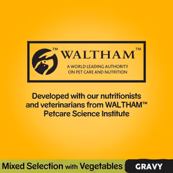 Pedigree Mixed Selection in Gravy 40 Pouches, Adult Wet Dog Food, Megapack (40 x 100 g)