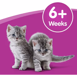 Whiskas Cat Milk 15 x 200 ml bottles, Complementary Cat Food for Kittens over aged 6 weeks