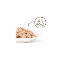 Applaws 100% Natural Wet Cat Food, Tuna Fillet with Anchovy in Broth, Pack of 12 x 70g Pouches