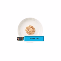 Encore 100% Natural Cat Food, Ocean Fish In Broth Tin 70 g (Pack of 16)