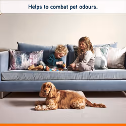 Vax Platinum Professional 1.5 Litre Carpet Cleaner Solution | Deep Cleans and Removes Tough Stains | Neutralises Pet Odours - 1-9-139136, Charcoal