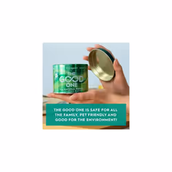 Astonish The Good One Cleaning Paste, Multi-Purpose For Full Home Clean, Fast Acting, Natural Ingredients, Fresh Mint Scent, 500g