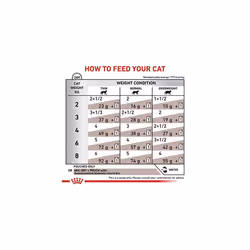 Royal Canin Veterinary Diet Cat - Gastro Intestinal Wet Cat Food Pouch 12 x 85g
