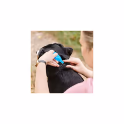 Beaphar | FIPROtec Spot-On for Large Dogs (20?40kg) | Kills Fleas & Ticks | Vet Strength Treatment | 6 Pipettes