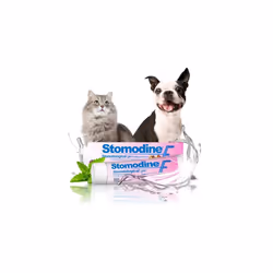 ICF | Stomodine F | Cat & Dog Toothpaste | Meat Flavour | Fights Plaque & Bad Breath | Healthy Dental Oral Hygiene | Easy to ...