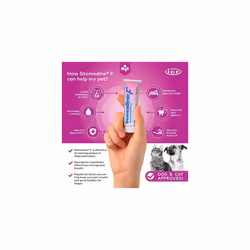 ICF | Stomodine F | Cat & Dog Toothpaste | Meat Flavour | Fights Plaque & Bad Breath | Healthy Dental Oral Hygiene | Easy to Use Teeth Cleaner for