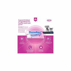 ICF | Stomodine F | Cat & Dog Toothpaste | Meat Flavour | Fights Plaque & Bad Breath | Healthy Dental Oral Hygiene | Easy to Use Teeth Cleaner for