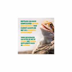 Nutrobal Calcium & Vitamin D3 & Mineral Supplement for Birds & Reptiles Powder Easy to administer 50g