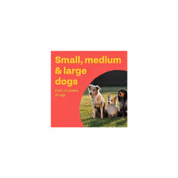 Bob Martin Clear | 3 in 1 Wormer Tablets for Small, Medium & Large Dogs (up to 40kg) | Clinically Proven Treatment (4 Tablets)