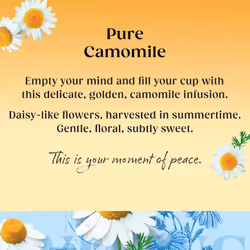 Twinings Pure Camomile, 320 Tea Bags (Multipack of 4 x 80 Bags)