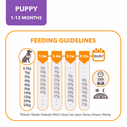 IAMS Complete Dry Dog Food for Puppy Small and Medium Breeds with Chicken 3 kg (Pack of 2)