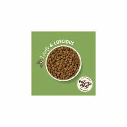 Lily's Kitchen Lamb Shepherd's Pie - Grain Free Adult Dry Dog Food (2.5 kg)