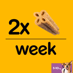 Pedigree Dentastix Advanced - Dental Care Chews - Dog Treats for Small Dogs - 12 Sticks (Pack of 12)
