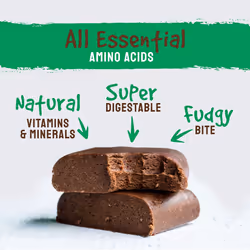 BodyMe Organic Vegan Protein Bar, Raw Cacao Mint - 16g Plant Based High Protein Snack Bars with Amino Acids - Gluten and GMO Free, 12 x 60g