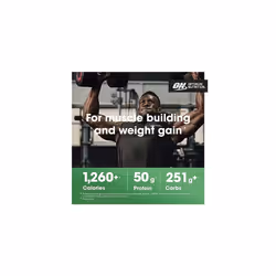 Optimum Nutrition Serious Mass Protein Powder High Calorie Weight Gainer with 25 Vitamins and Minerals, Creatine Monohydrate and Glutamine, Chocolate