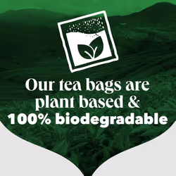 PG Tips Original, Black Tea Bags Bulk, Refreshing, Flavourful & Full-Bodied, Perfect Flavour Release, 160 Plant Based Biodegradable Teabags