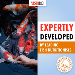 Nishikoi Wheatgerm Complete Food for Koi and Pond Fish - Medium Pellets - 2.5kg