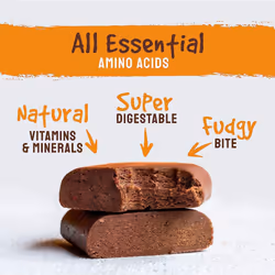 BodyMe Organic Vegan Protein Bar | Raw Cacao Orange | 12 x 60g Vegan Protein Snack Bars | Gluten Free | 16g Complete Protein | 3 Plant Proteins All