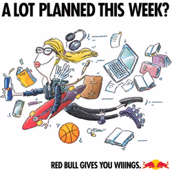 Red Bull Energy Drink Zero 250 ml x24