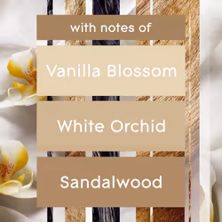 Glade Automatic Air Freshener Refills Room Spray/ outdoor Eliminator Vanilla Blossom 4 Refills (4 x 269 ml) Packaging May Vary