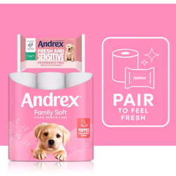 Andrex Family Soft Toilet Tissue 72 Rolls (Previously Andrex Gentle Clean) Gentle on your Familys skin Bulk Pack of 72 Toilet Rolls