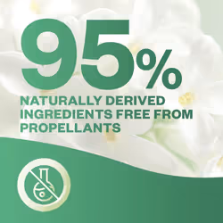 Air Wick Aerosol-Free Automatic Air Freshener Spray Refill Jasmine Bouquet Single Refill 1 x 228ml Pack of 1 24x7 Active Fresh Odour Neutraliser