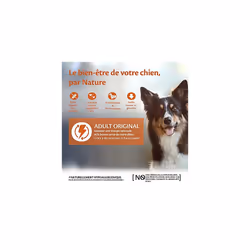 Wellness CORE Adult Original, Dry Dog Food, Dog Food Dry, Grain Free Dog Food, High Meat Content, Turkey & Chicken, 1.8 kg