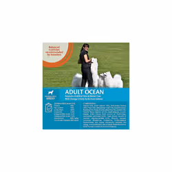Wellness CORE Adult Ocean, Dry Dog Food, Dog Food Dry For Healthy Skin and Shiny Coat, Grain Free, High Fish Content, Salmon & Tuna, 10 kg