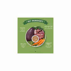 Lily's Kitchen Adult Lamb Supper Organic Wet Dog Food (11 x 150 g), 1 Count (Pack of 11)