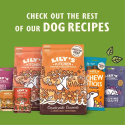Lily's Kitchen Natural Adult Dry Dog Food Chicken & Duck Grain-Free Recipe 2.5kg