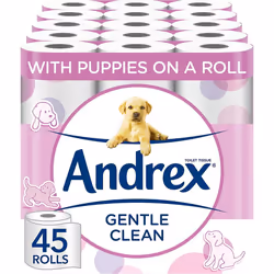 Andrex Gentle Clean Toilet Rolls - 45 Toilet Roll Pack - Bulk Buy Toilet Rolls - Gentle and Soft on Your Family's Skin - Derm ...