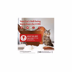 Wellness CORE 98% Beef, Wet Cat Food, Grain Free P?t?, Cat Food Wet with High Meat Content, Beef, 12 x 85 g