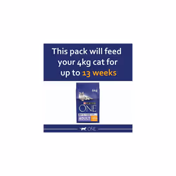 Purina ONE Adult Dry Cat Food Rich in Chicken 6kg, Pack of 1
