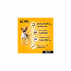 Pedigree Mixed Selection in Gravy 84 Pouches, Adult Wet Dog Food, Megapack (84 x 100 g)