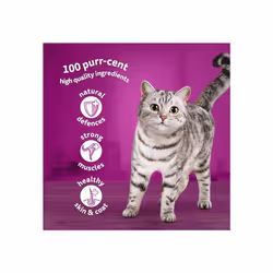 WHISKAS Poultry Selection in Jelly 40 Pouches Adult Wet Cat Food Megapack (40 x 85 g) 1+ Adult