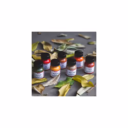 Angelus Acrylic Leather Paint